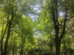 -木塔寺遗址生态公园
