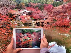 -醍醐寺
