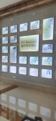 -玛丽亚妇产医院