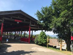 -福建鲤鱼洲酒店