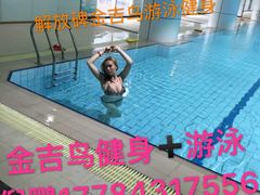 -金吉鸟健身游泳