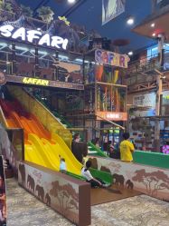 -卡通尼·Safari非洲探索乐园·生日会(金桥国际商业广场店)