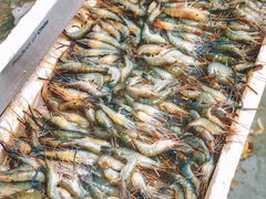 -青石桥市场北1-27号