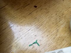 -老绥元烧麦·家常菜(大召店)