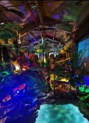 -恐龙探索乐园(磁器口店)