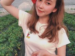 -普迪生态园