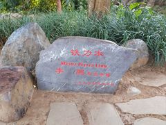 -中国科学院西双版纳热带植物园