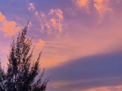 -后海村