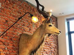 景观位-Vanilla Specialty Coffee(八大关店)