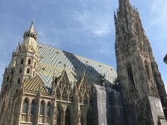 -斯蒂芬主教座堂(Stephansdom)