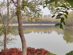 -塘沽森林公园