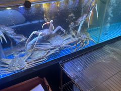 -千代武日本料理(开发区店)