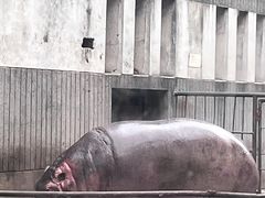 -成都动物园