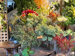 -自由生长植物工作室(深港花卉中心店)