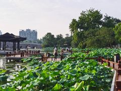 -南通濠河风景名胜区