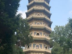 -灵谷景区