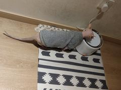 -猫腻·猫咖·撸猫馆(星光大道店)