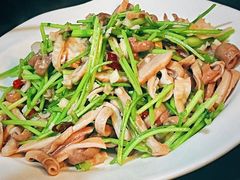 -柒號馆天津菜·八珍豆腐·牛窝骨