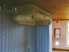 -金山农民画村-枫泾波兰倒置屋