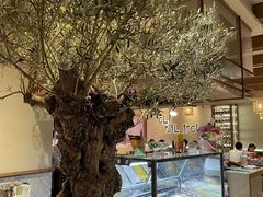 -ELI FALAFEL Lebanese&Mediterranean黎巴嫩美食(富城路店)