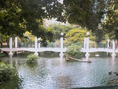 -九龙公园