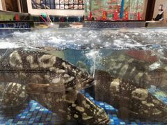 -龙悦湾酒家·八阵鱼生·渔人码头店