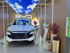 -天津津维瑞通比亚迪4S店(工业大学店)