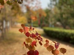 -同济大学(嘉定校区)