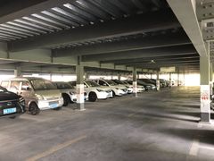 -上海植物园·停车场