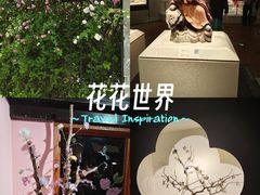 -中福百货(望京店)