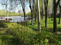 -长春公园(普阳街道)