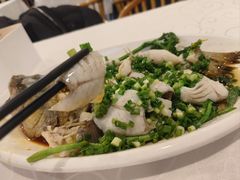 香葱灼鲈鱼-廣味潮鲜·一品潮滋味(五道口店)