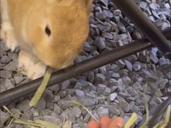 -吾叁·吉趣鸟咖(万科店)