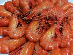 白灼海虾-小海豚•老字号海鲜餐厅(天涯店)