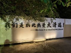 -芭厘·农庄老字号.电饭煲五指毛桃焗鸡