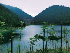 -武陵山森林公园