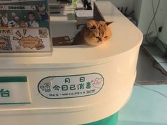 -汪喵宠物医院·骨科心脏影像·犬猫急重症ICU诊疗中心(成华分院)