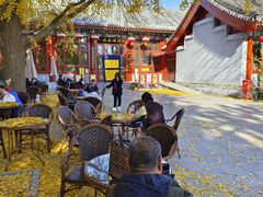 -仿膳饭庄·宫廷风味(百年传承店)