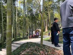 -东明山森林公园