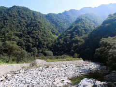 -黑河国家森林公园