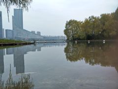 -天鹅湖体育公园