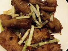 糖朝-糖朝(尖沙咀店)