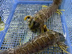 -班赞海鲜市场