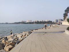 -宝安西湾红树林湿地公园