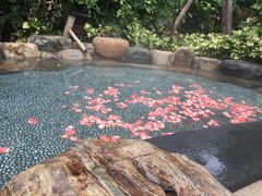 -厦门日月谷温泉渡假村