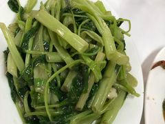 虾酱空心菜-新陶陶酒家