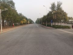 -塘沽森林公园