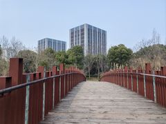 -南翔镇银翔湖公园