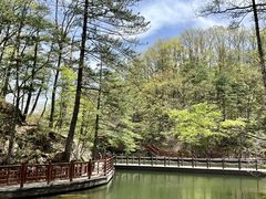 -洛阳白云山景区
