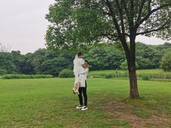 -艾溪湖湿地公园